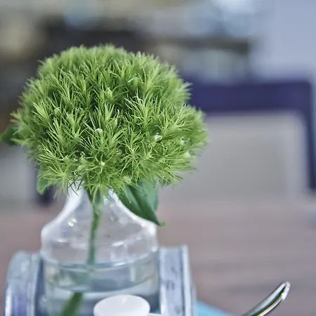 Hotel Elch Boutique-2
